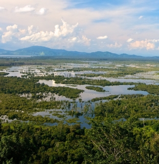 Supporting the restoration of Indonesia’s peatlands from above