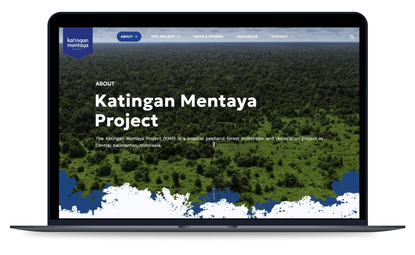 <strong>A Website to Meet the Distinct<br />
Needs of Corporates and Media</strong>
